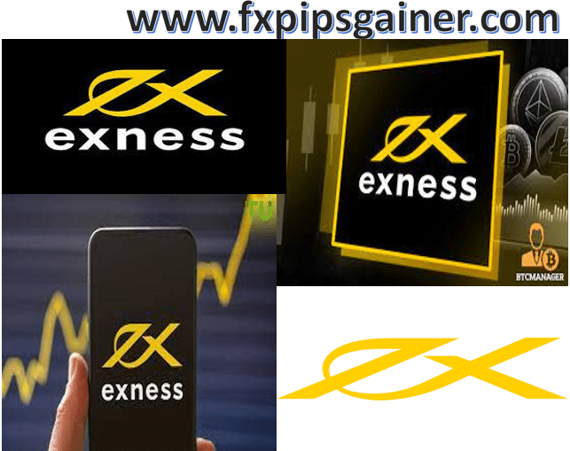 Understanding Your Exness Trading Account A Comprehensive Guide Understanding Your Exness Trading Account A Comprehensive Guide
